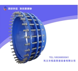 C2F型單（dān）法蘭傳力接頭