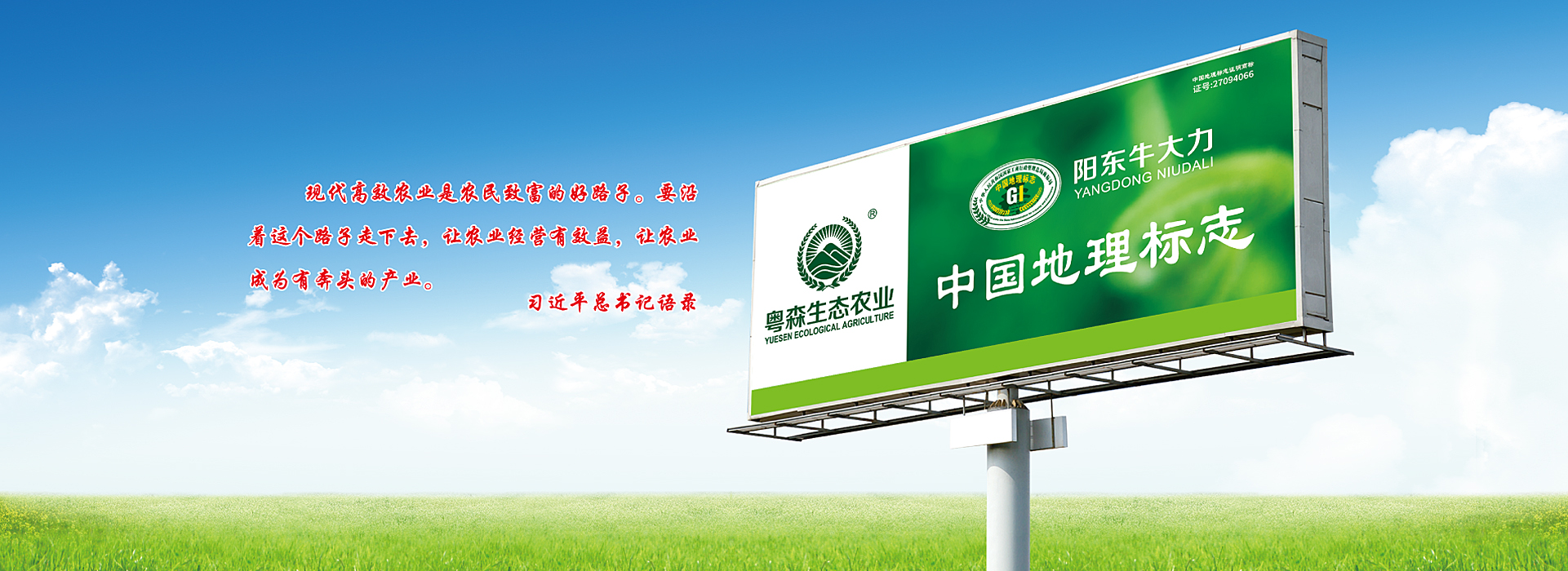 成年人抖音视频牛大力