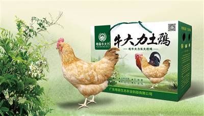 成年人抖音视频牛大力土（tǔ）雞