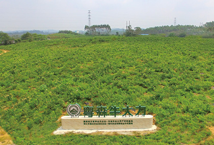 示範種植基地