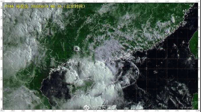 良種（zhǒng）良（liáng）法\台風來了，你的牛大力種植場（chǎng）準備好了嗎？
