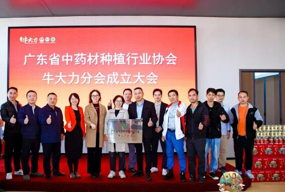 廣東省中藥（yào）材種植行業協會牛大力分會成立