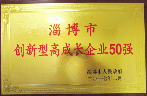 2017年創（chuàng）新型高成長企業50強