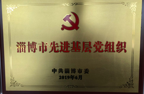 2019年淄博市先進基層黨組織