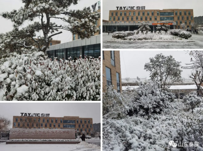 瑞（ruì）雪兆豐年 勞動（dòng）展風采